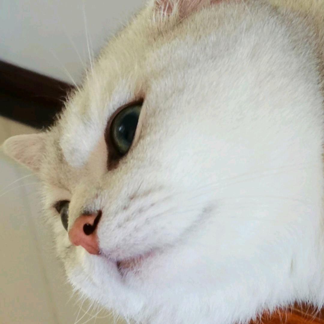 wok车车车车厘子🍒