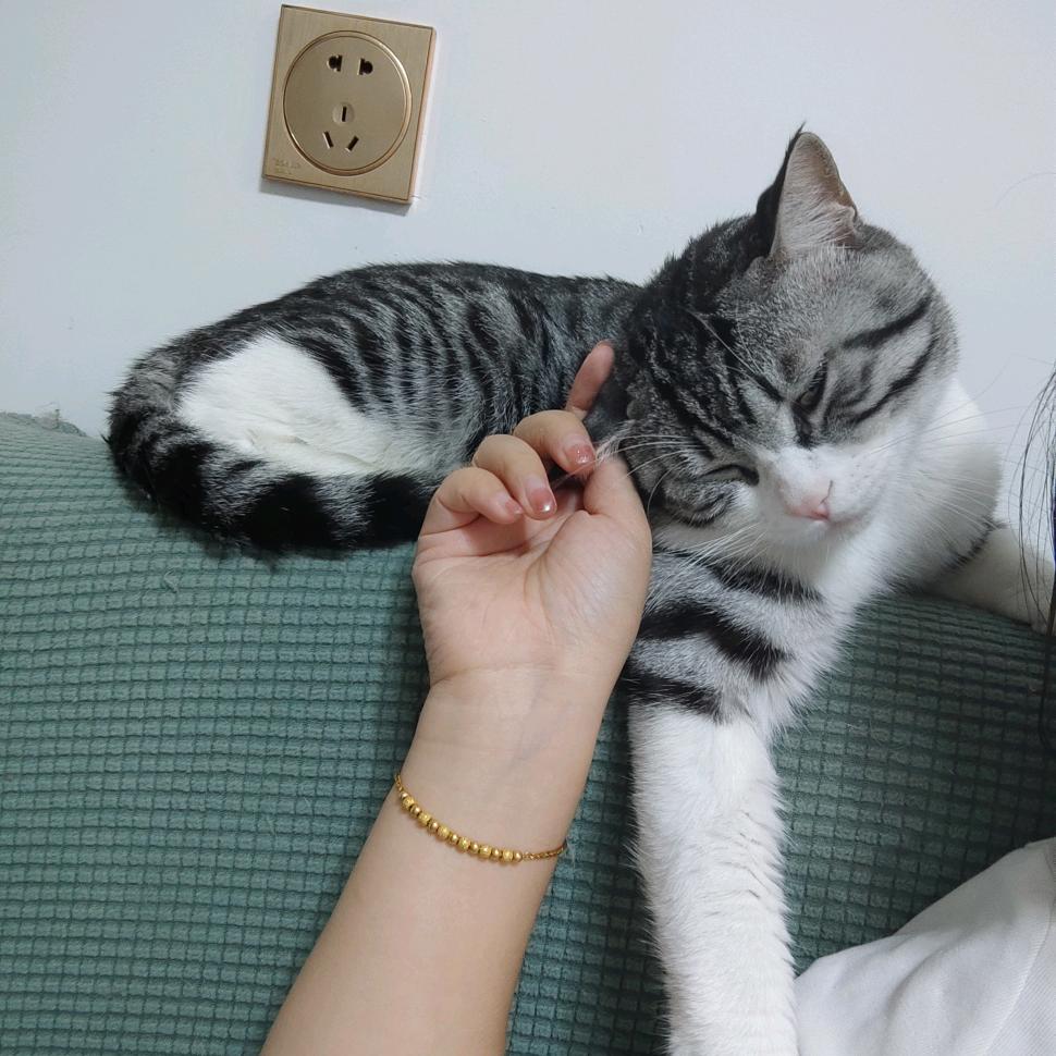 橙子
