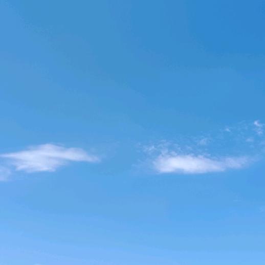 燕子正能量