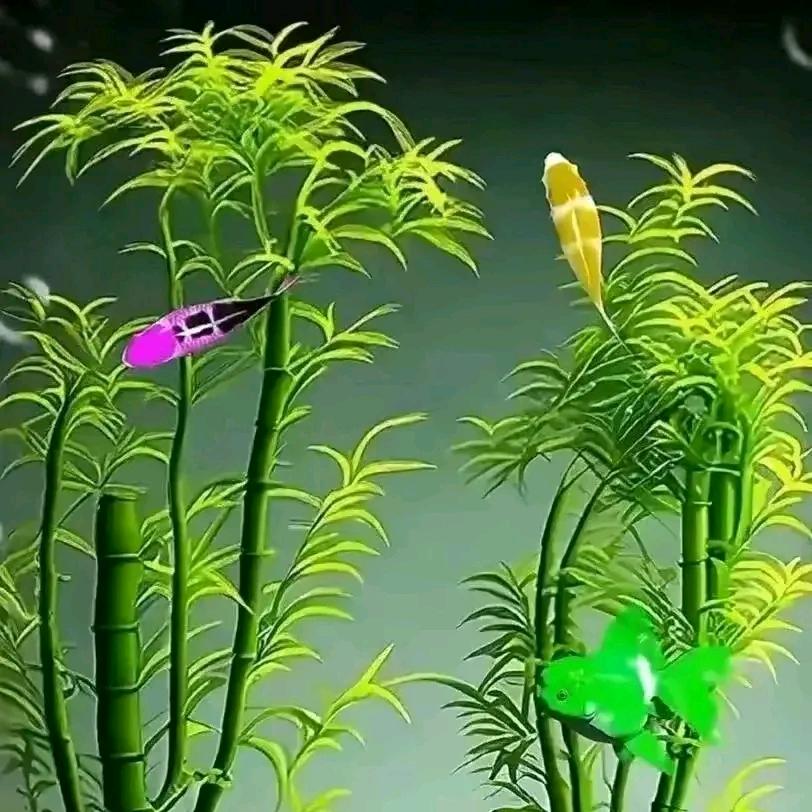 糠粒