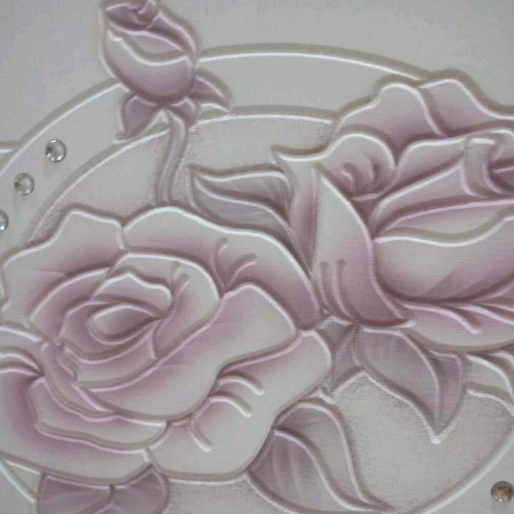 只做你旳小公主