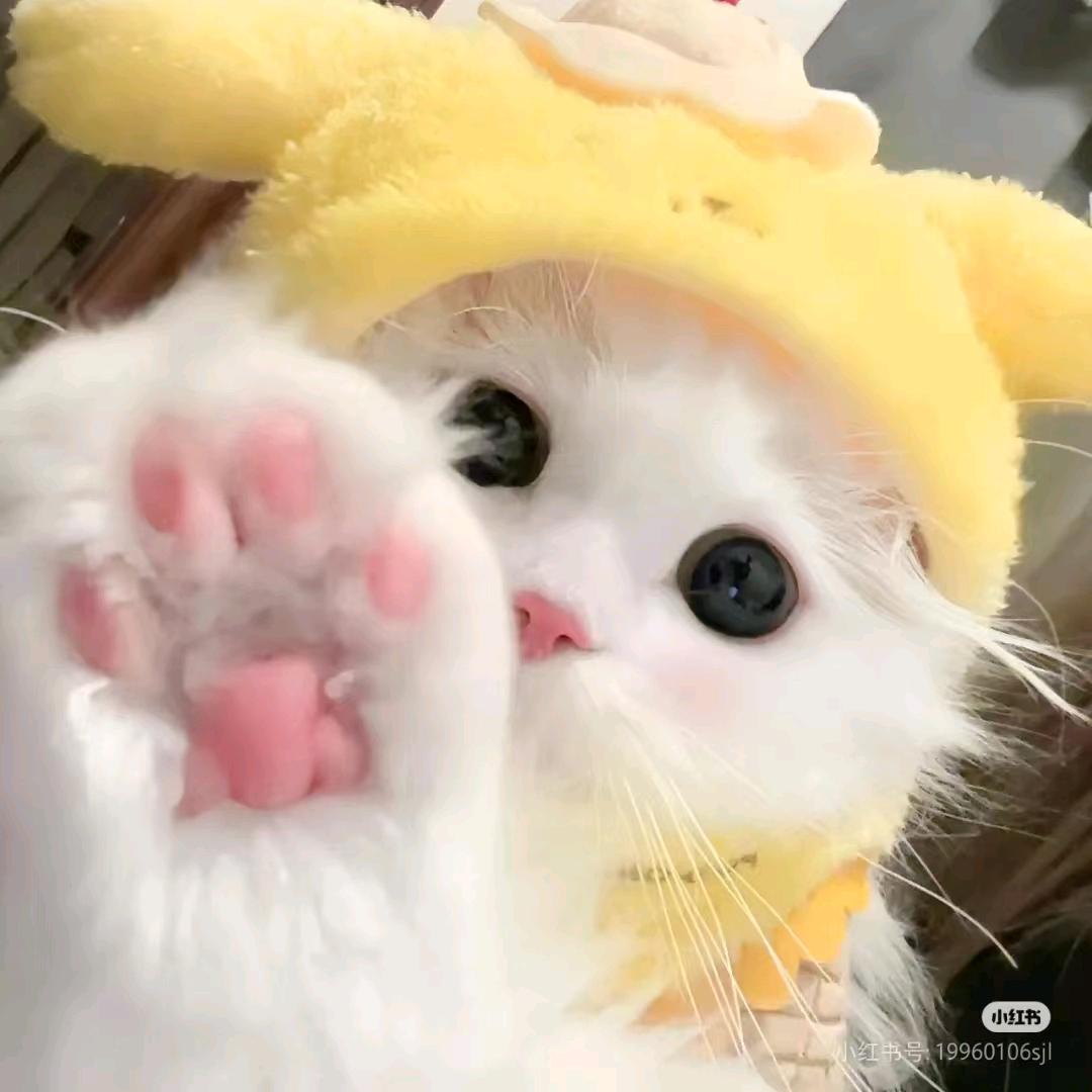小弯