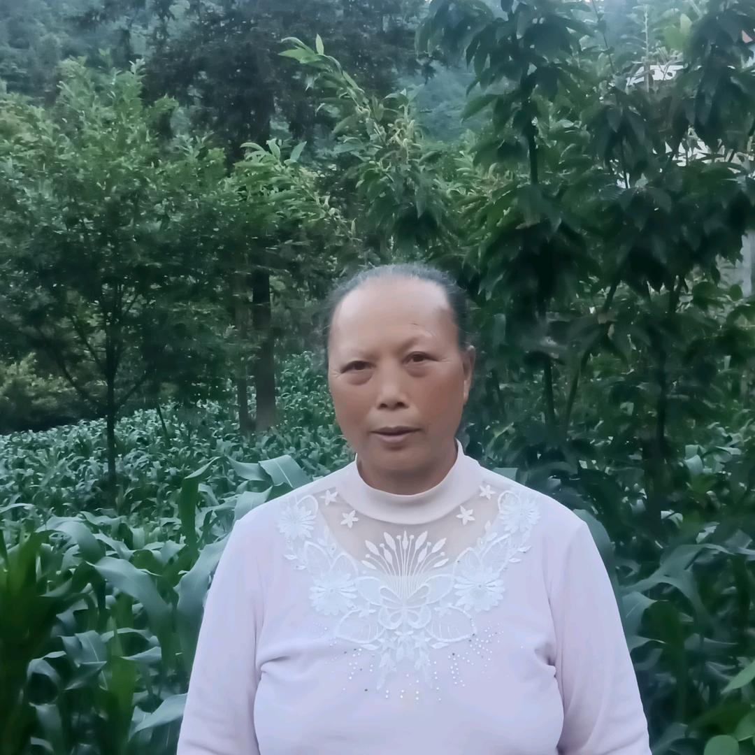 李姐姐