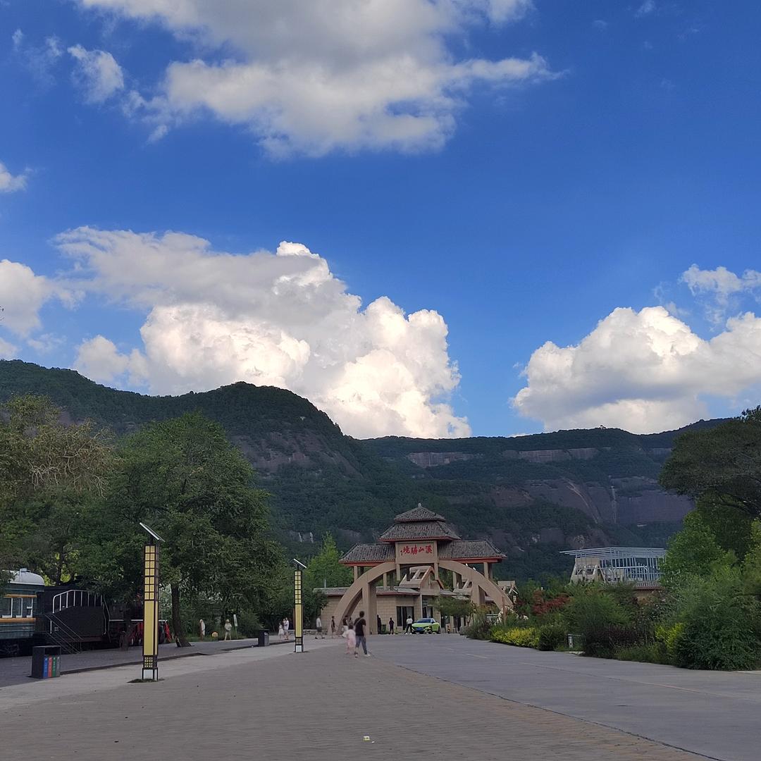 玫瑰之约🍊🥟