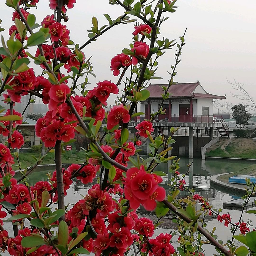 🌸懂你的人🌸