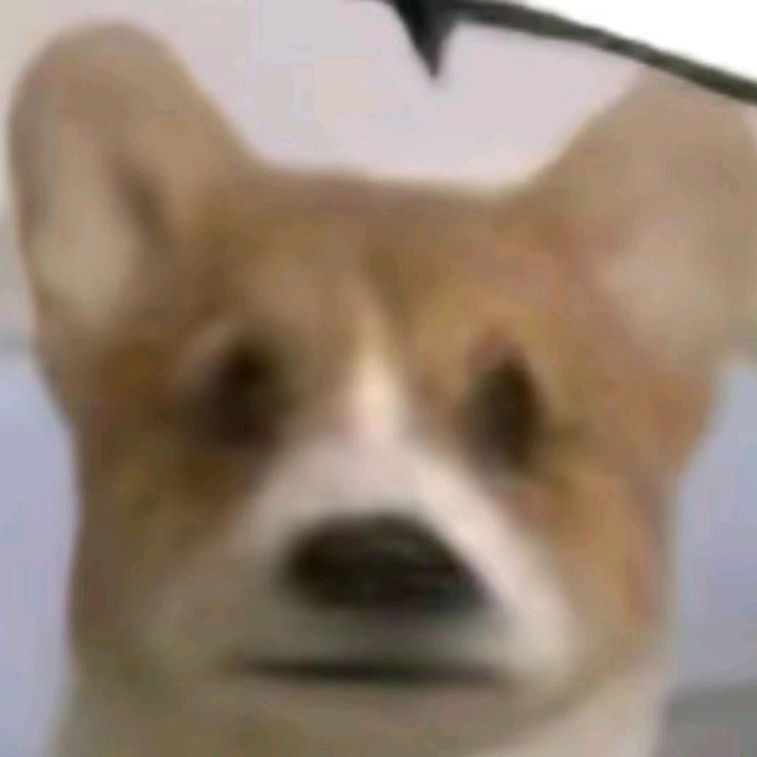 用户86643499975