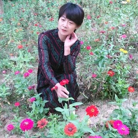 甜菜花（早上五点半开播）