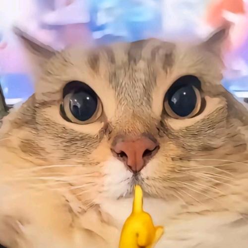 给山区儿童捐赠健胃消食片