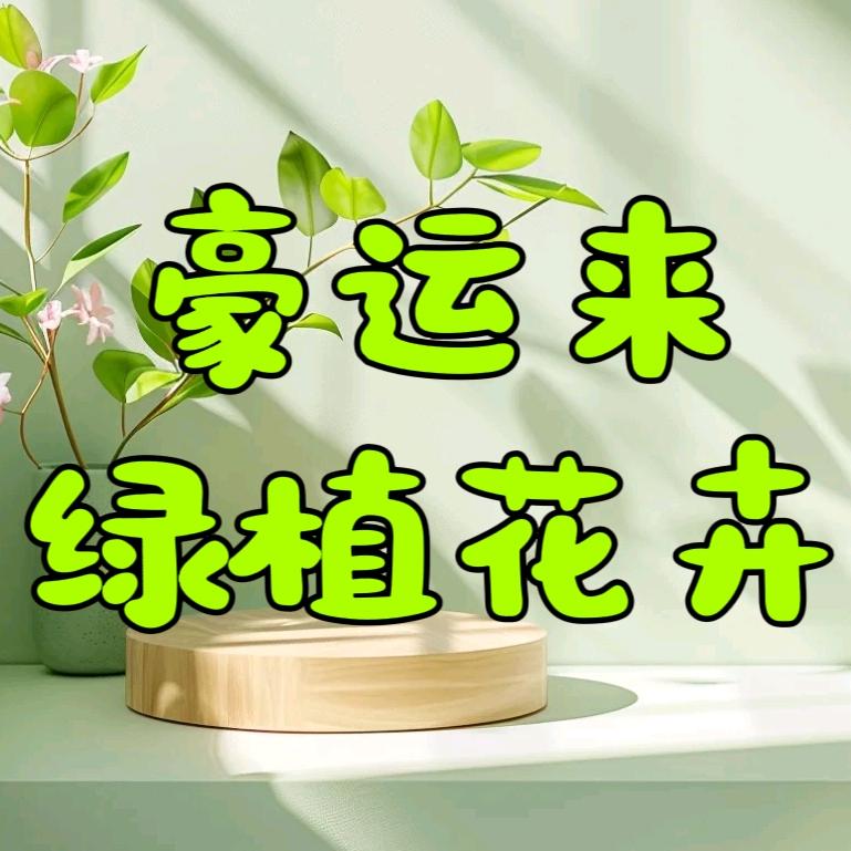 庄寨豪运来绿植花卉