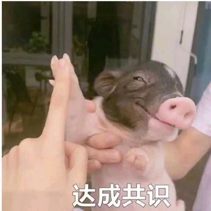 重点维稳对象