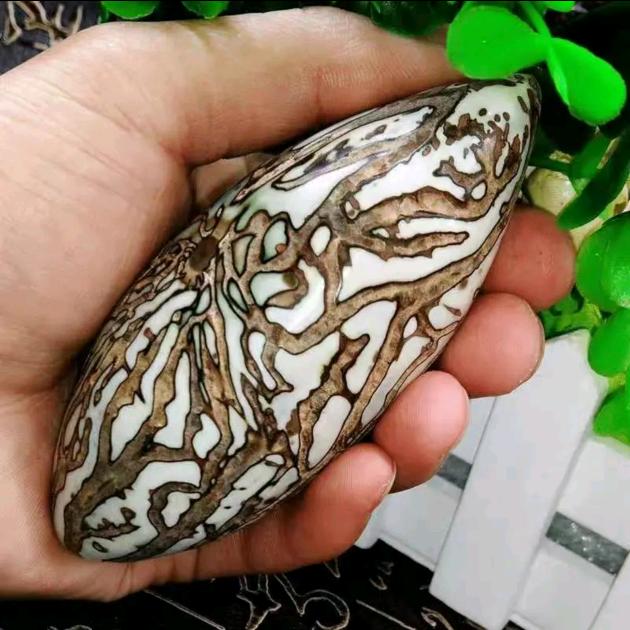 木子李精选菩提