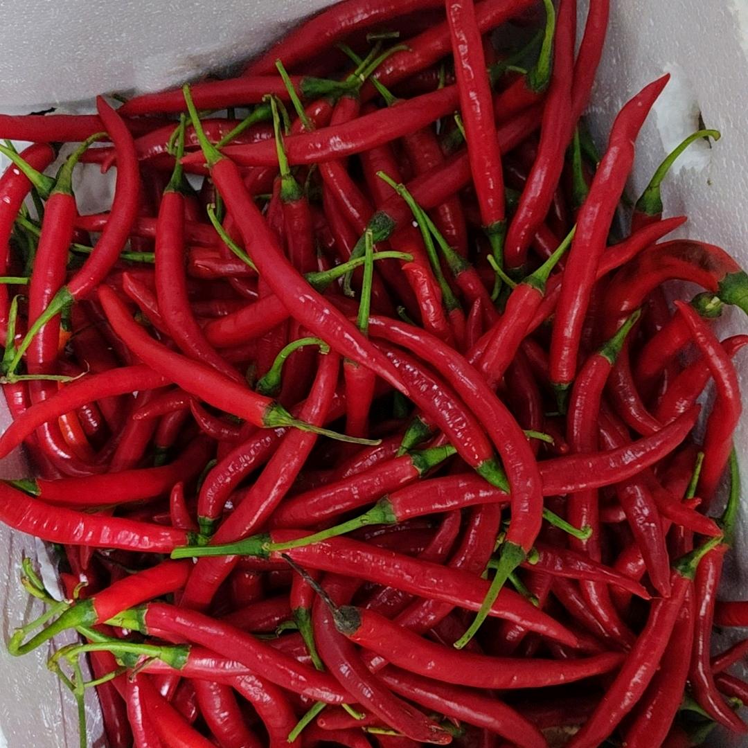 后悔当初看错了人