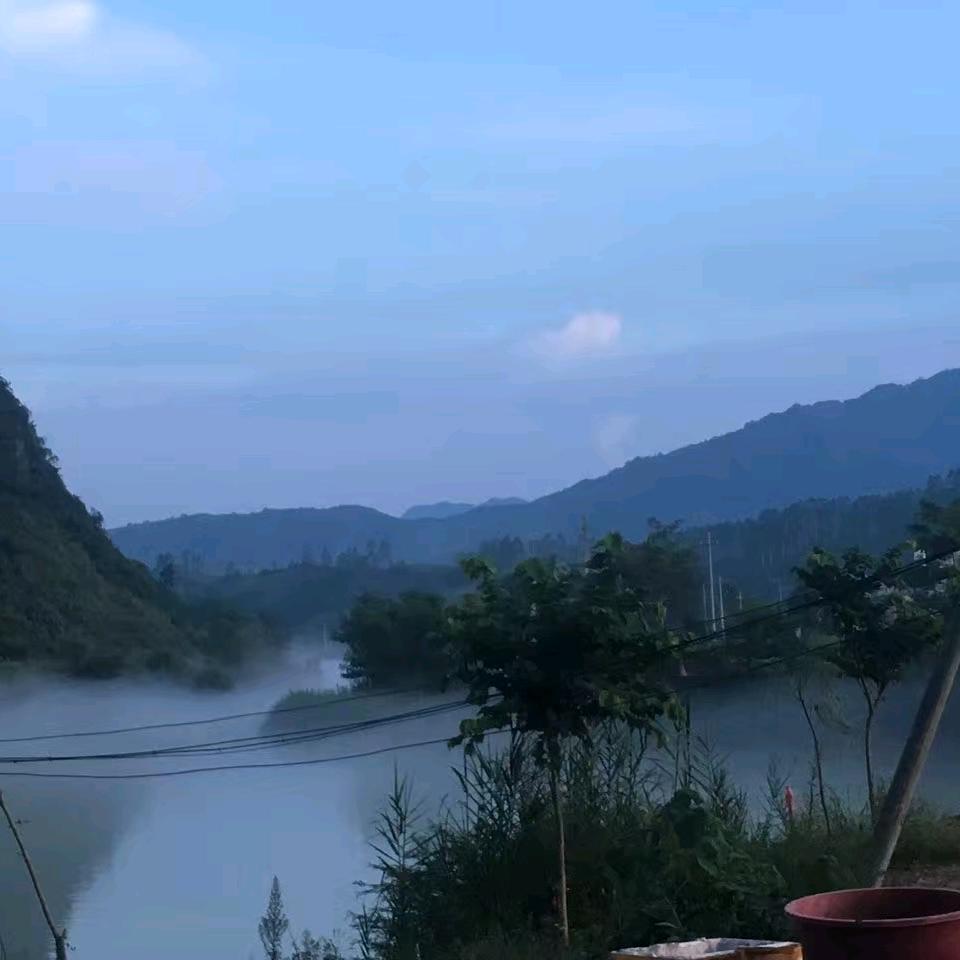 把信徒关在狗笼里圈养