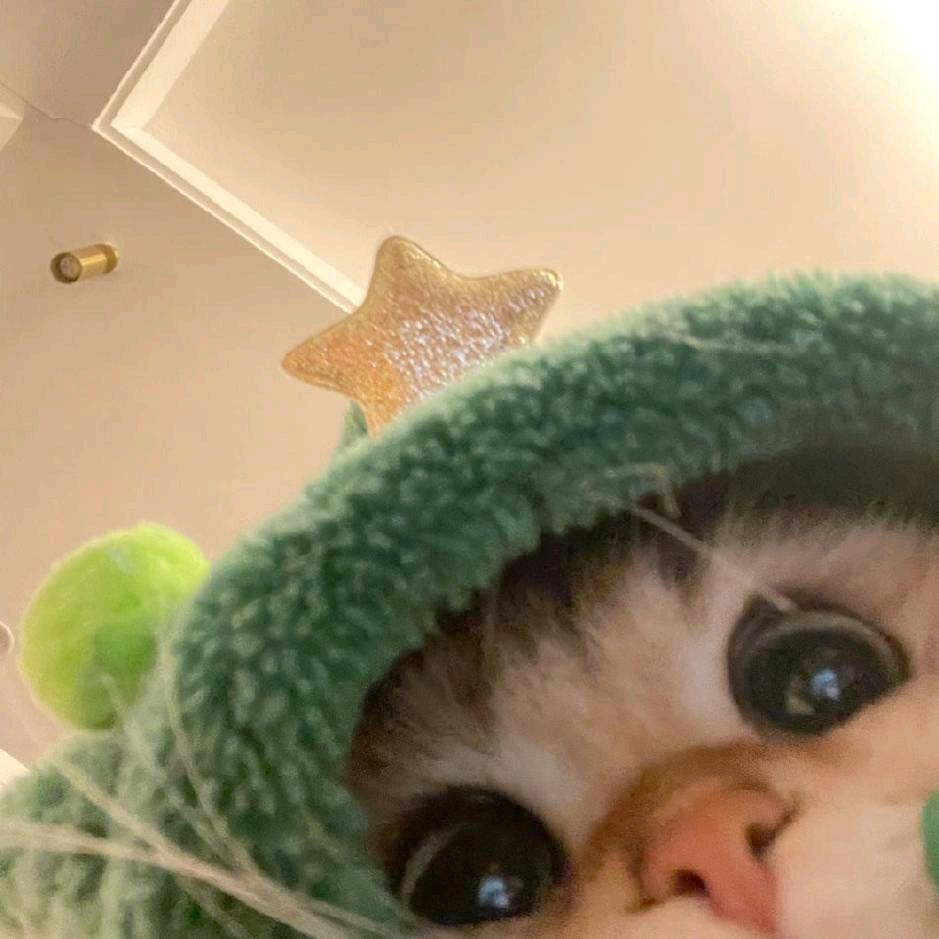 兜兜头像