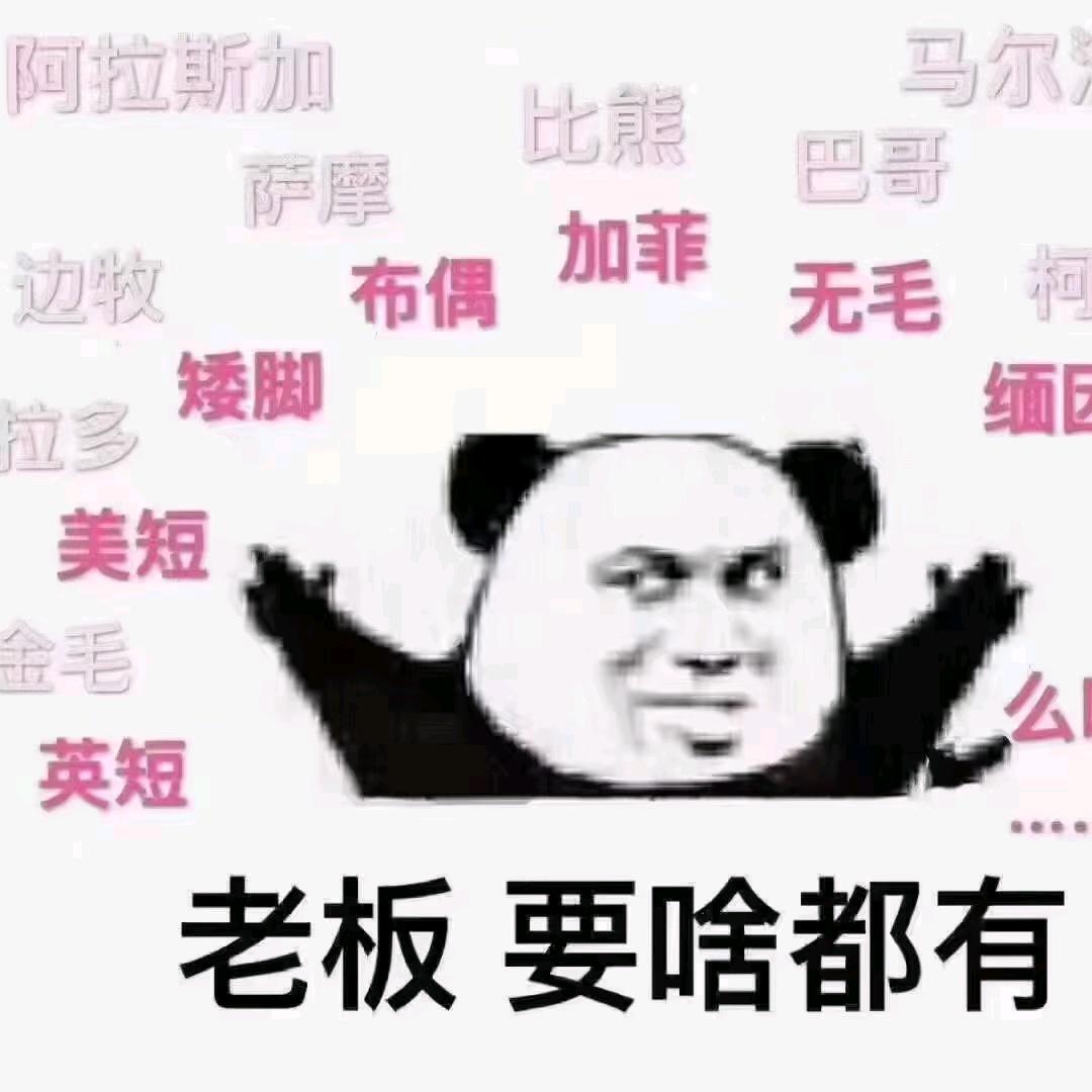 贵阳宠物猫狗