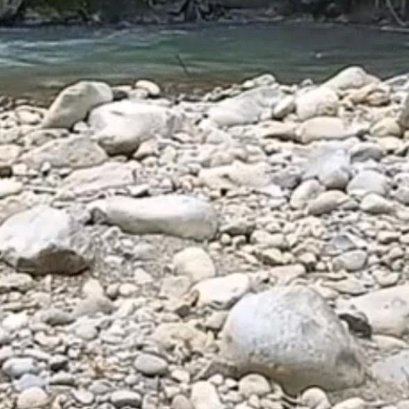 冬冬灵玖玖优行