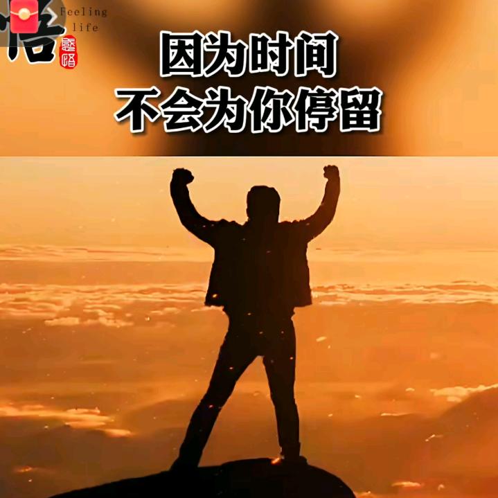 奋斗¹³¹⁴