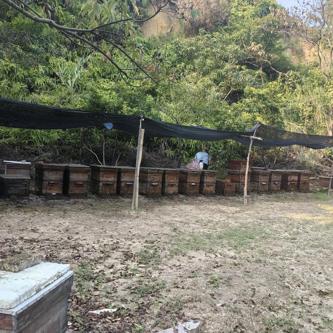 潮阳区贵屿镇南阳