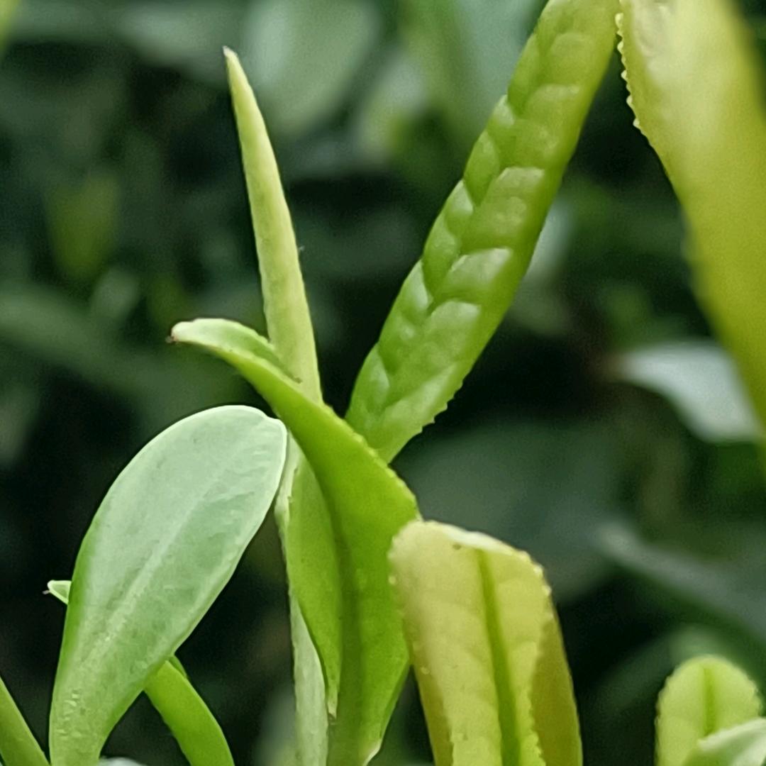 宝峰土菜馆欢迎大家