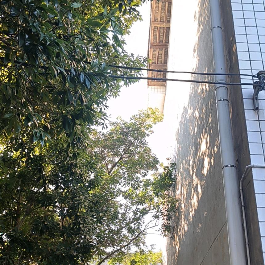 主持🎤志颖