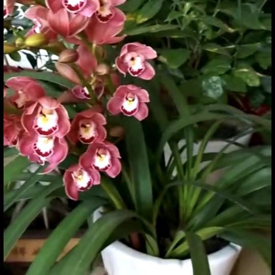 开心过好美一天