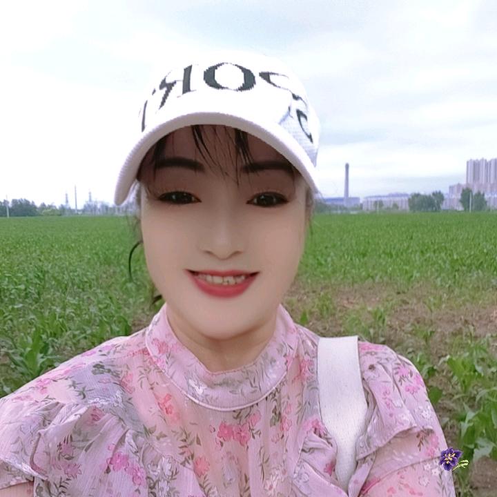 愛唱歌的东北燕子