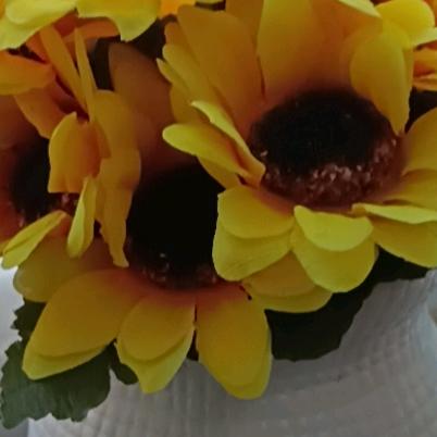 不一样的男人。