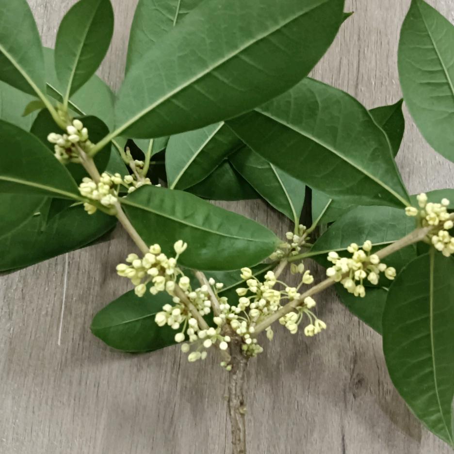 ଫ᭄玲龙ꦿꪸ💕张꧔ꦿꪸ࿐