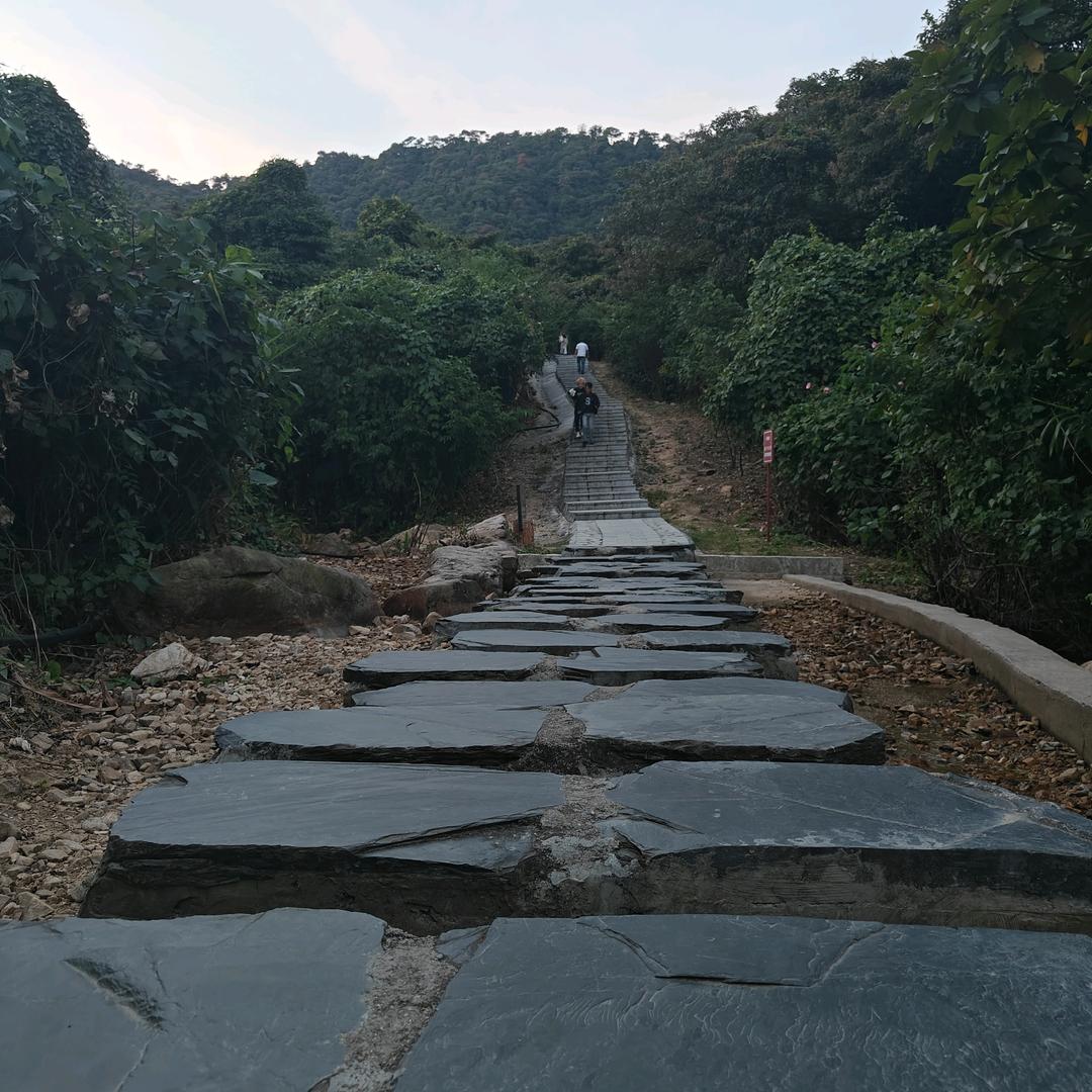 小雷总