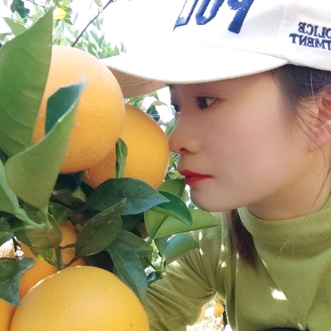 丫头《土谷烧酒》