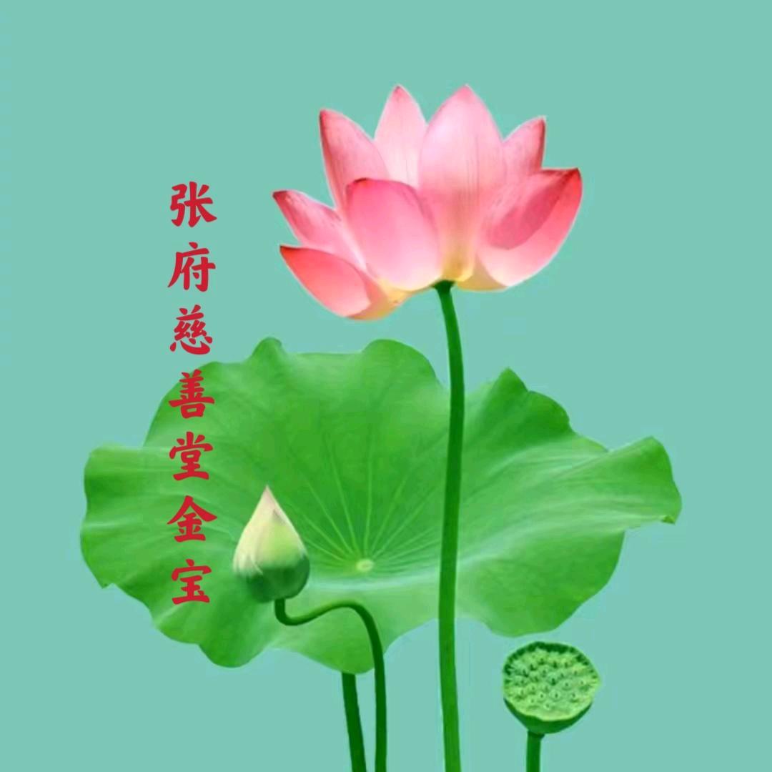 张府慈善堂金宝