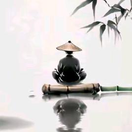 南   怀