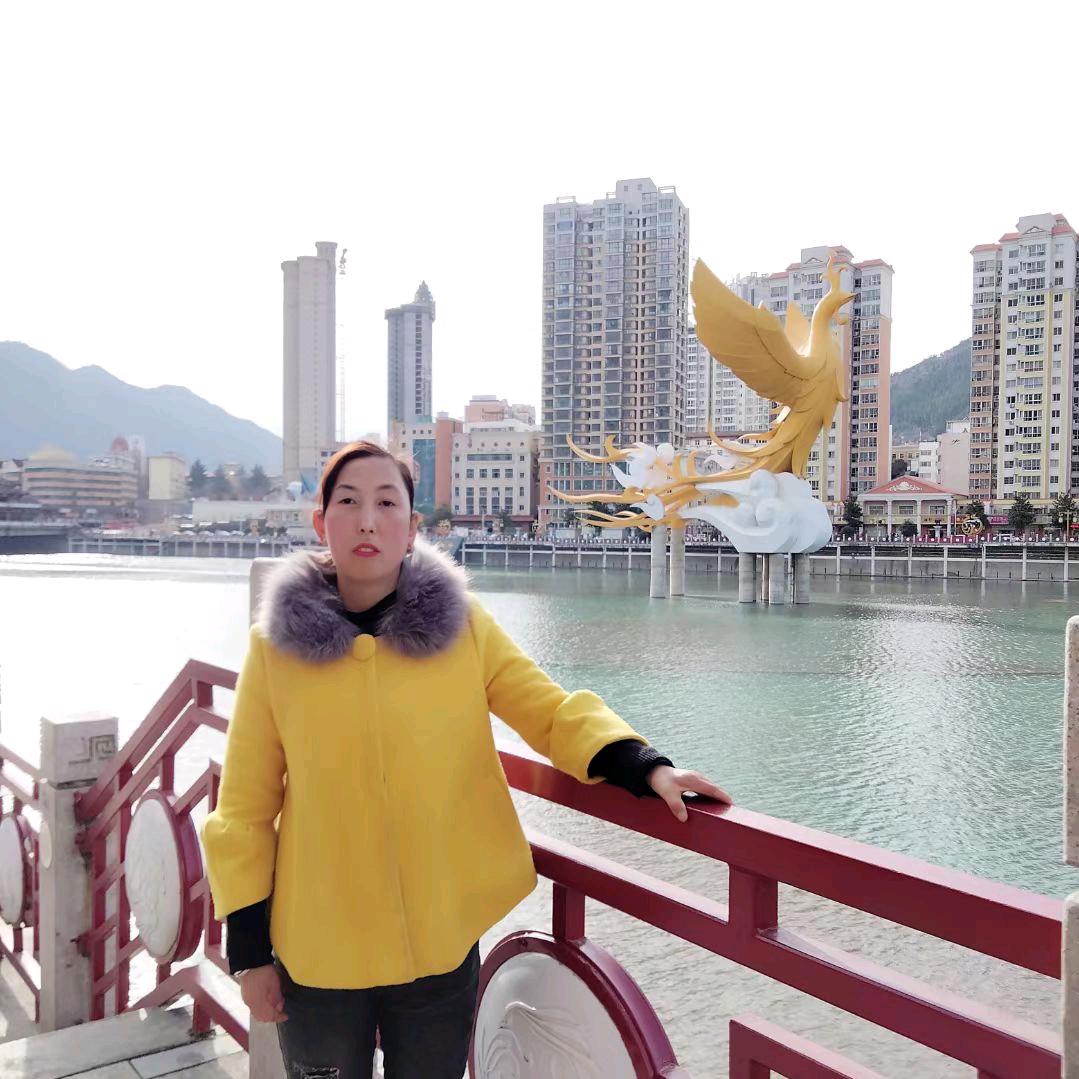 鱼儿不需要阳光