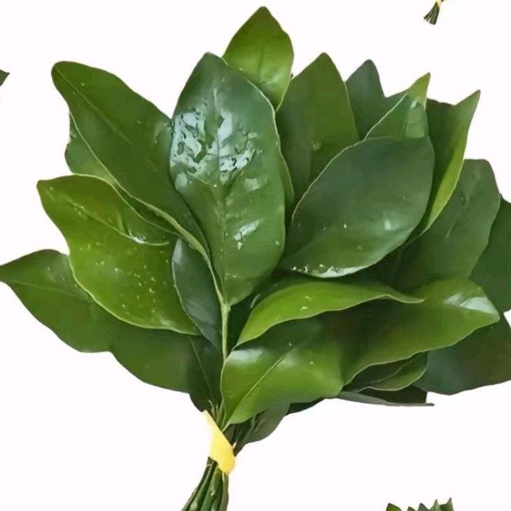 @ 云南甩一锅小锅米线承💰