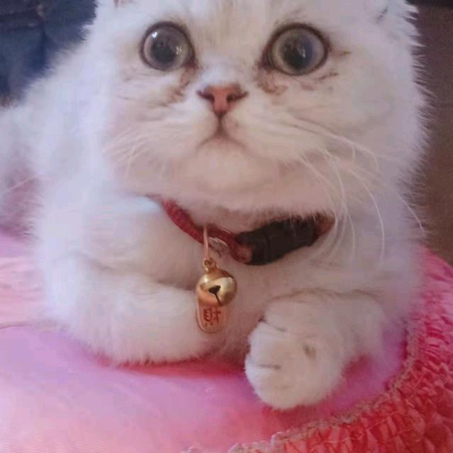 昊菲用户5009671984118