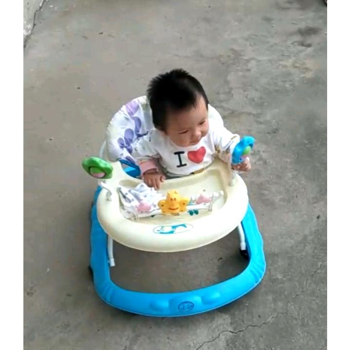 中宝哥