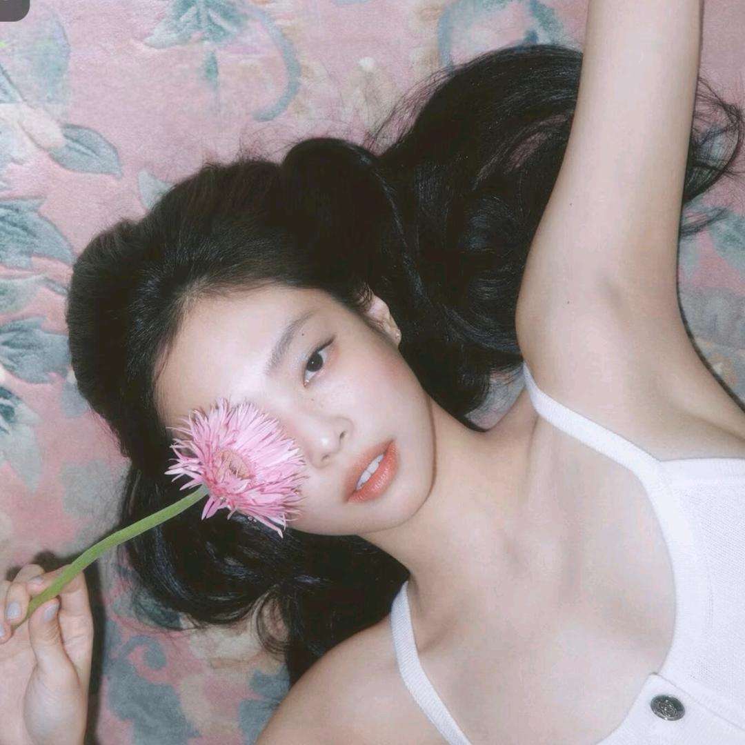 羊-