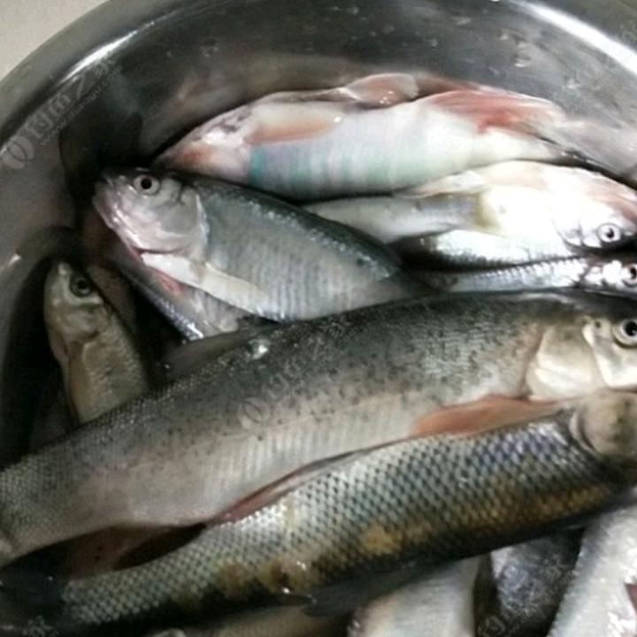 风云，逆天而行