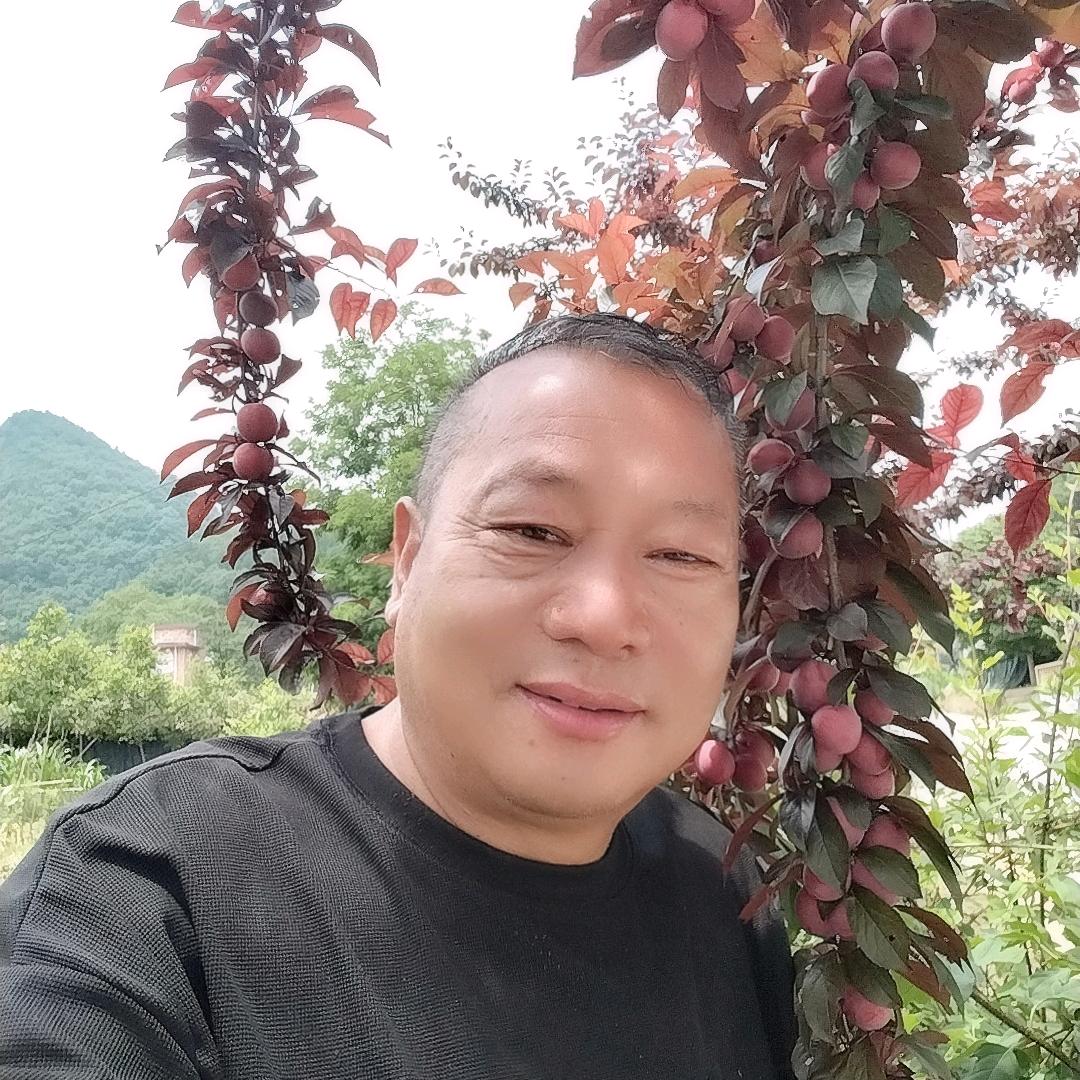 心想事成🌴