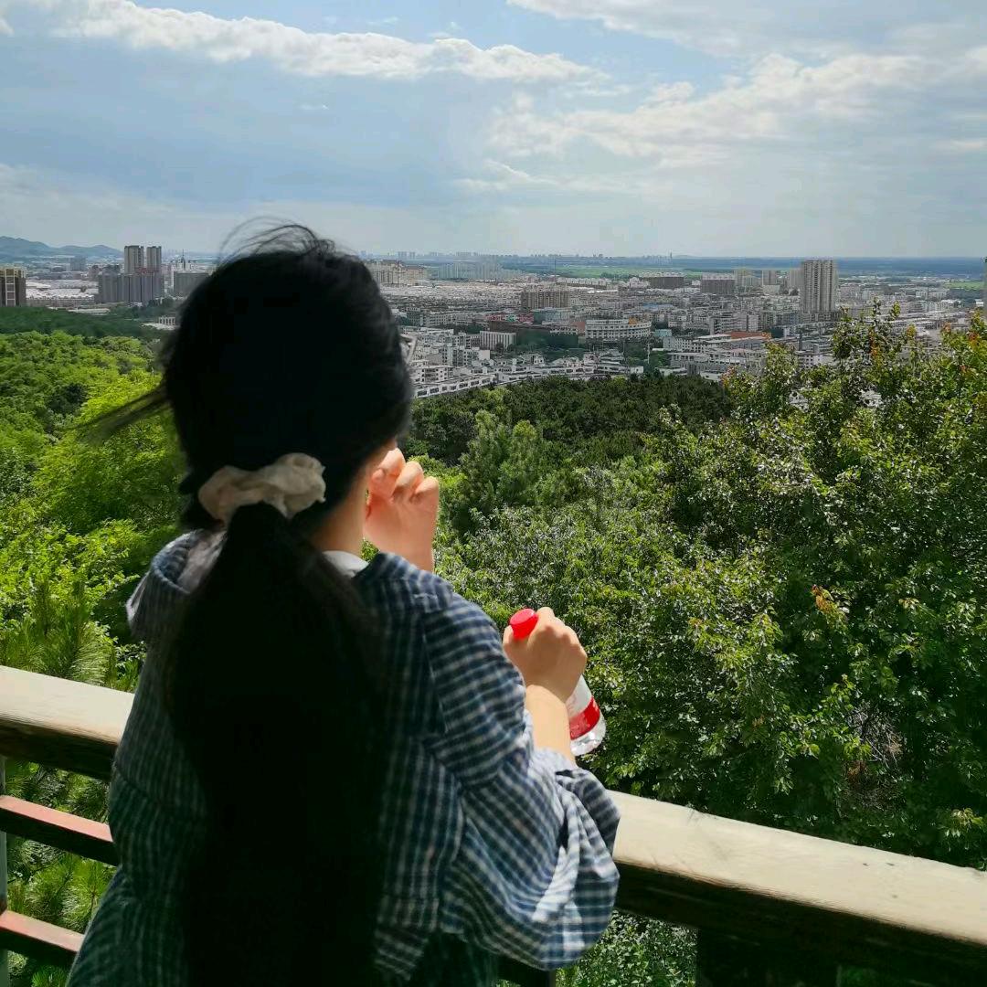 茂盛的李子树🌳