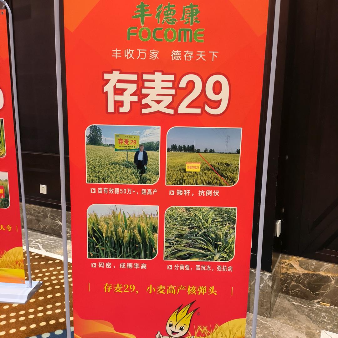 宿州新屋农业