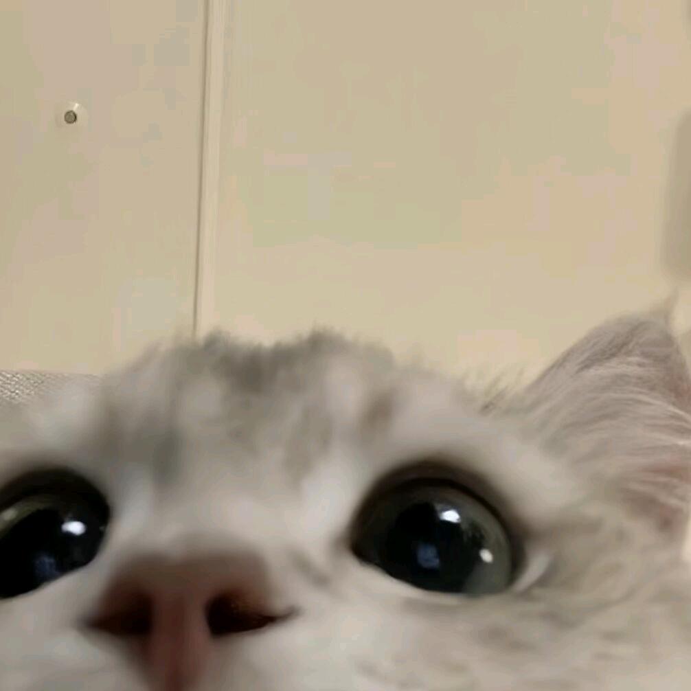 y_云_y