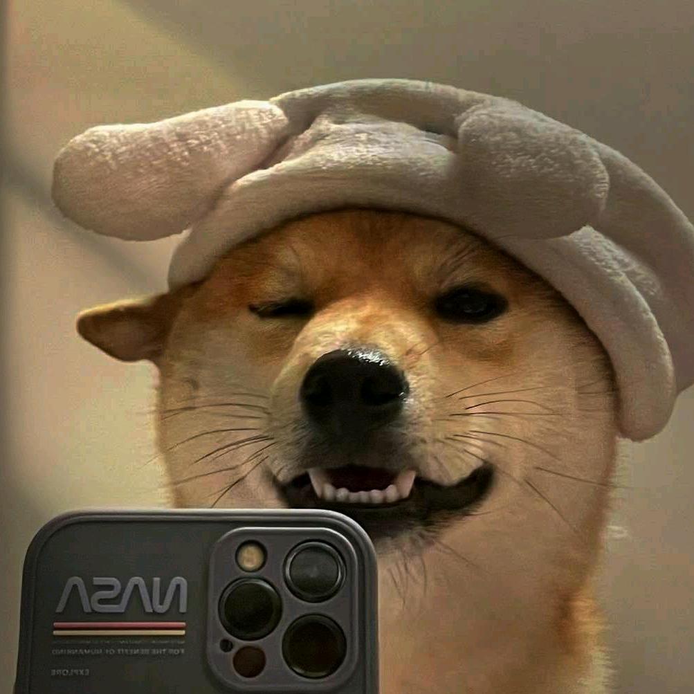 小肚腩