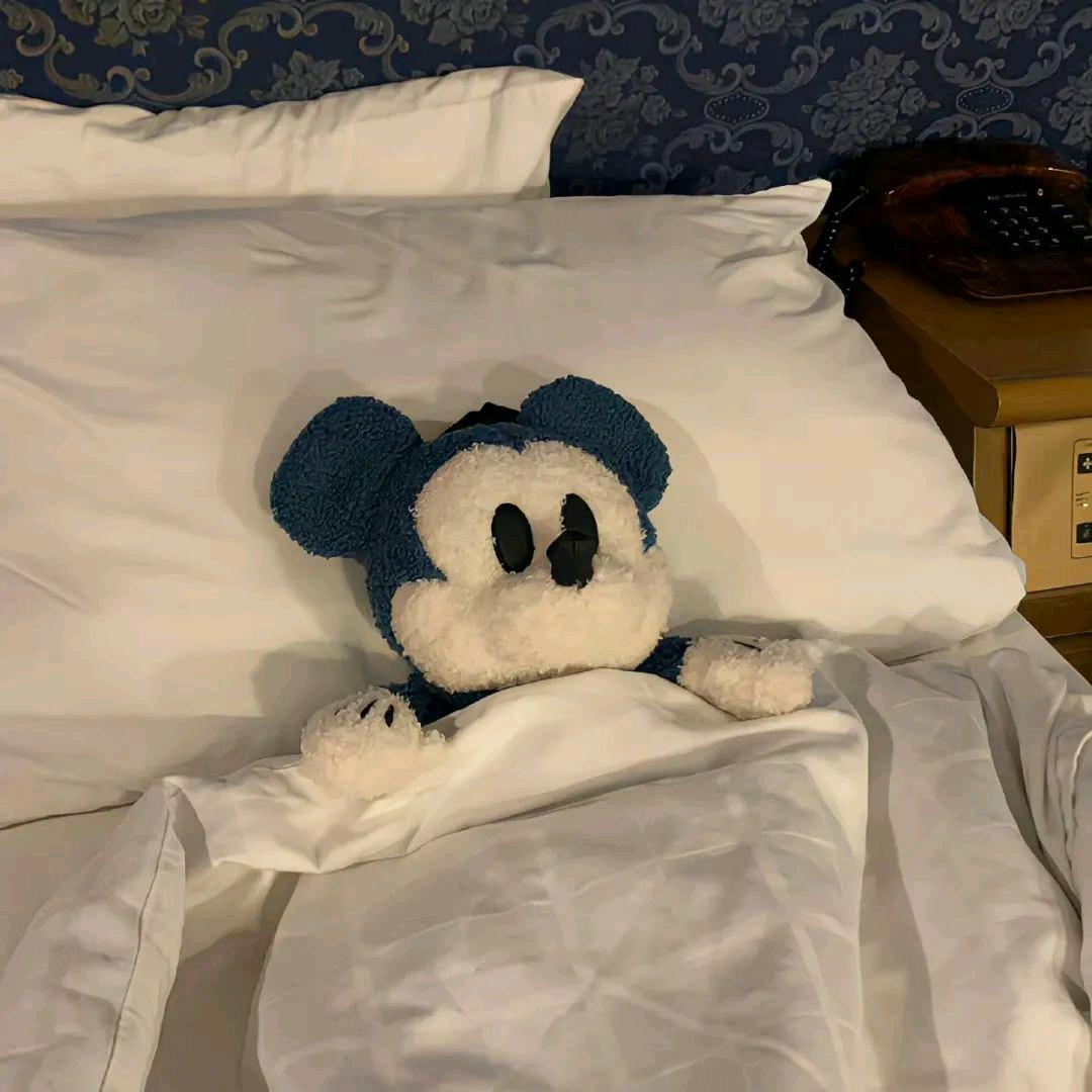 小小琪💤