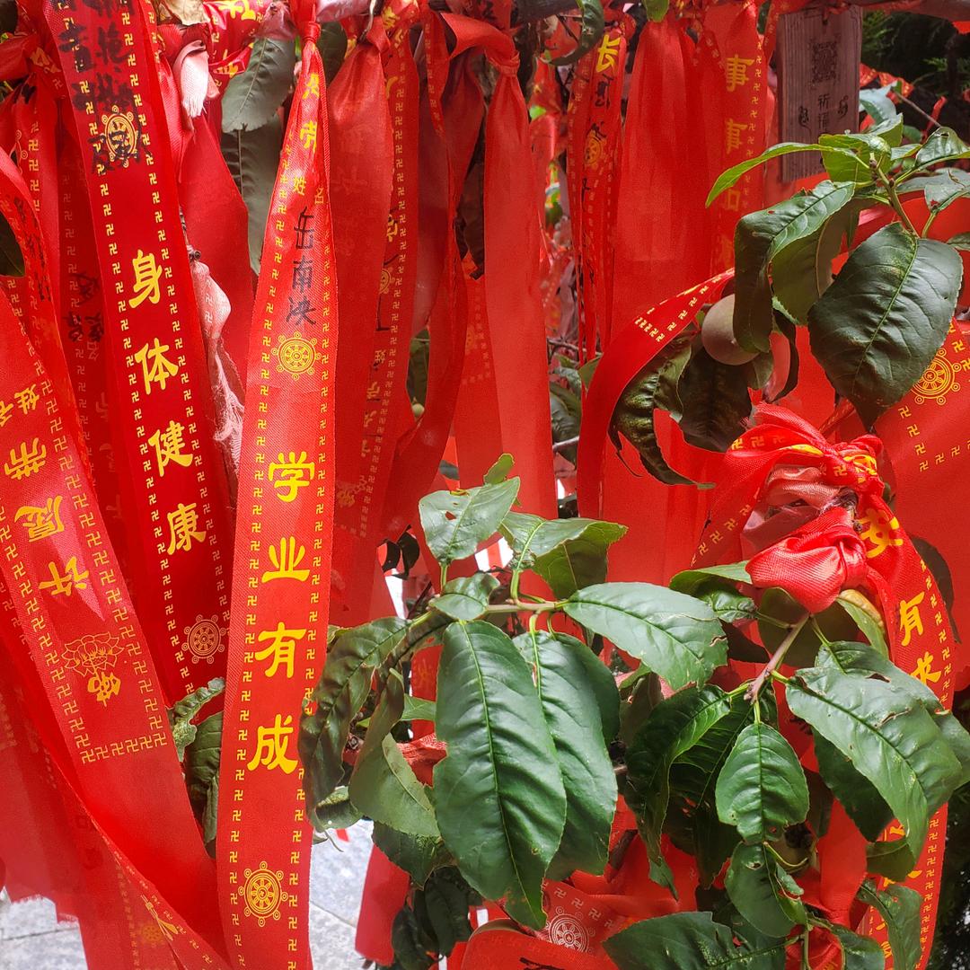 王陶古寨出租车