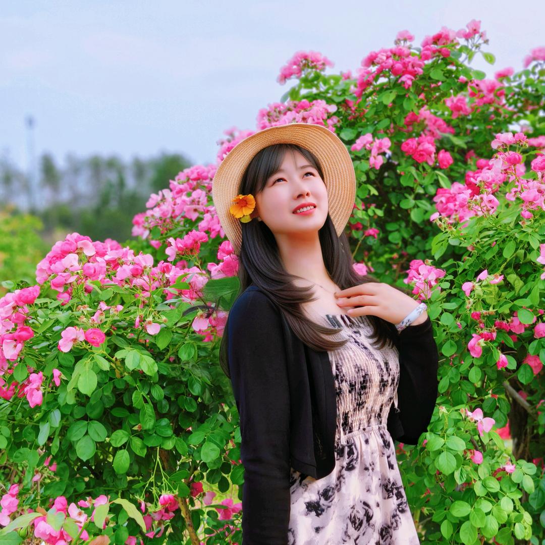 💕 一颗溜「柳」梅