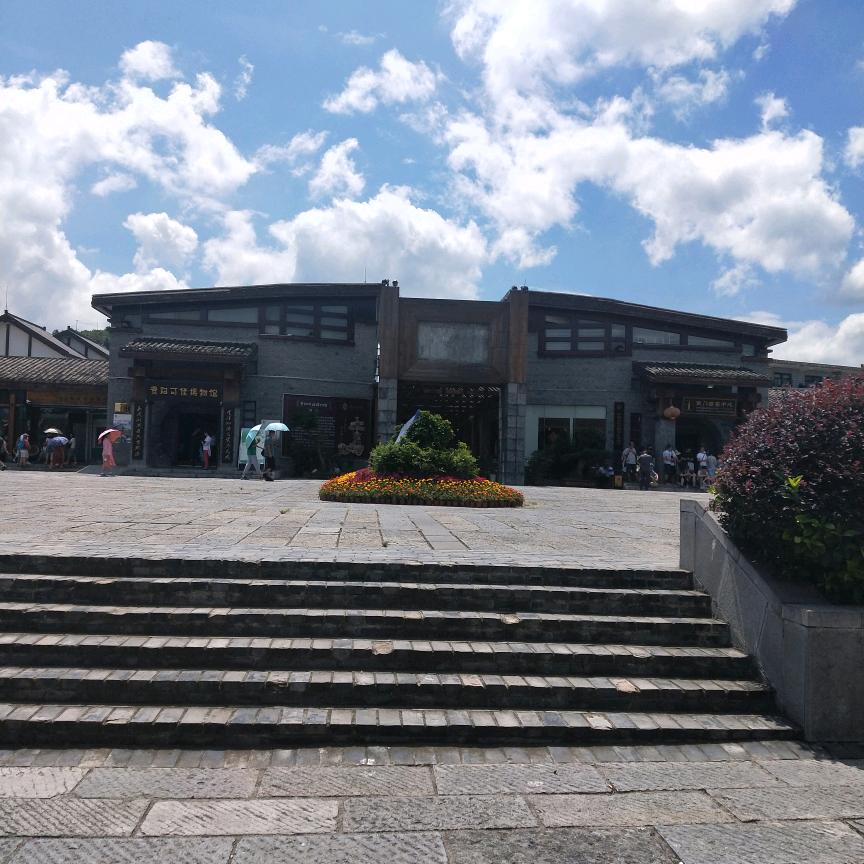 日常青树