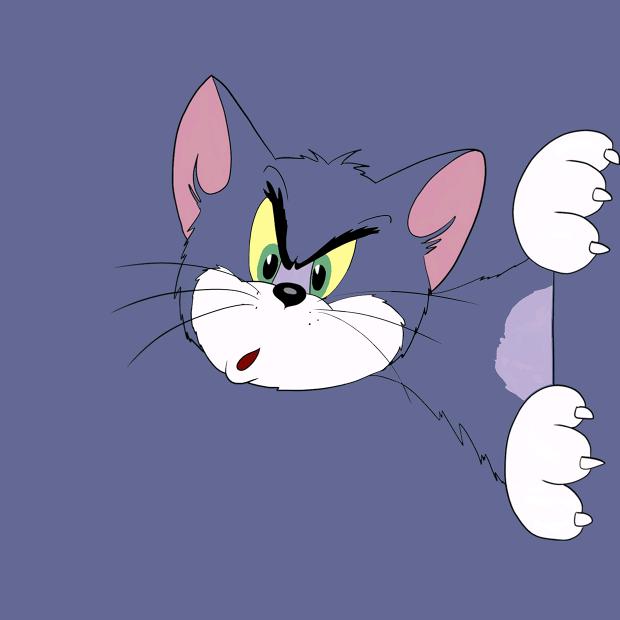 不戳👻 (ˆ з ˆ)