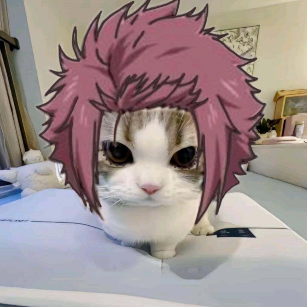 景玉玉（见过薛之谦两次版）