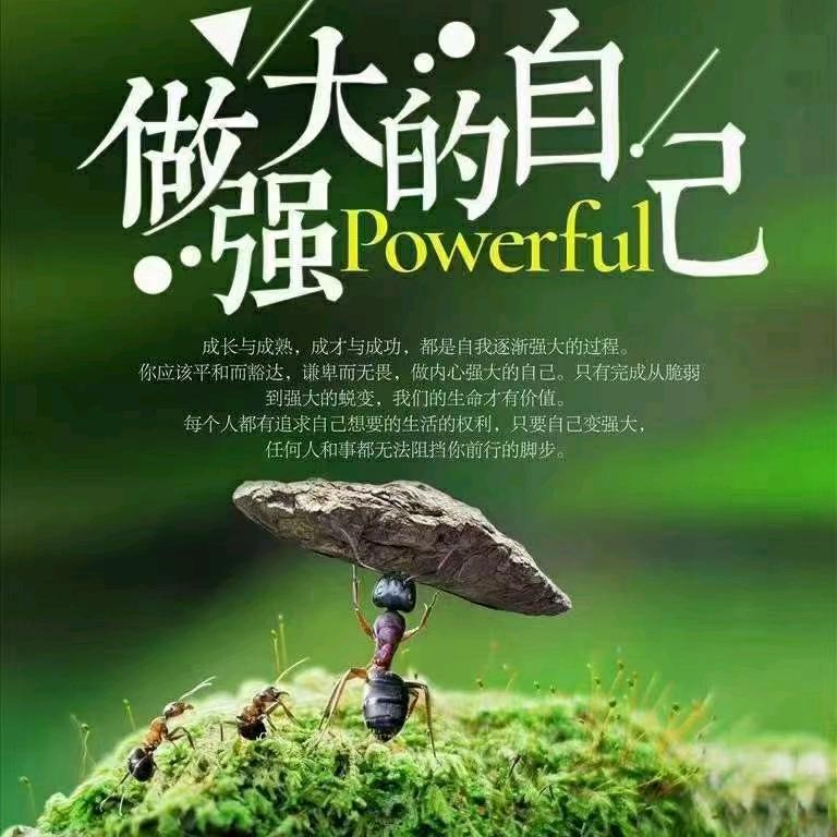 向前走加油😊